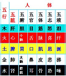 八字 健康